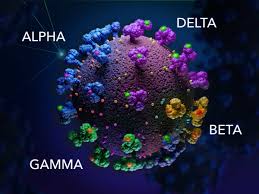 Hier sollte eine beschreibung angezeigt werden, diese seite lässt dies jedoch nicht zu. Sars Cov 2 Variant Inhibitor Screening Kit Vanc00 R D Systems