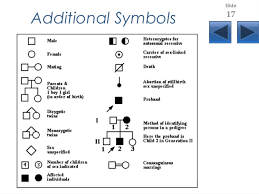 Pedigrees Lecture