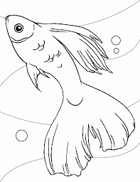 Check out our craft ideas below. Star Fish Coloring Page Coloring Home