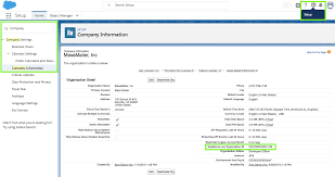 Locate your salesforce.com organization id. Where Can I Find My Salesforce Org Id Massmailer Help Center