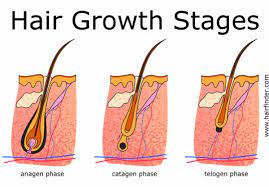 Where you sit in this range will depend on factors such as your hair type and the evenness of growth. Waxing Faqs Brazilian Bikini Eyebrow Lip Waxing Common Questions