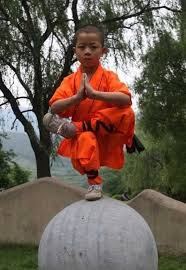 Shaolin Kung Fu Flexibility Training Shaolin Kung Fu Kung Fu Martial Arts Martial Arts