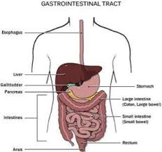 A hernia happens anytime a body part pushes into a place where it doesn't belong. Bowel Cancer Dr James Fergusson