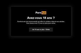 Pourquoi les sites pornographiques qui ne contrôlent pas lâge de leurs  visiteurs sont toujours en libre accès