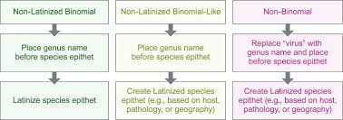 Stepwise Flow Chart For Conversion Of Current Virus Species