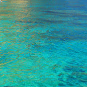 There is something for every. Country Florist Reviews Ratings Florists Near 1302 W Arkansas Ln Arlington Tx