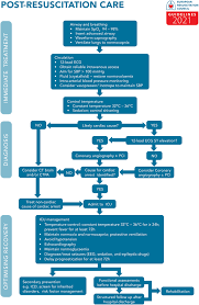 Construction alert there is construction in this clinic's area. European Resuscitation Council And European Society Of Intensive Care Medicine Guidelines 2021 Post Resuscitation Care Resuscitation