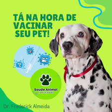 SAÚDE ANIMAL ESPECIALIDADES (@saudeanimalespecialidades) · Paulo Afonso, BA