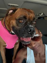 FU Darcy Vandergrift you have zero clue! The O'Keefes want justice and if  they could their son back! “pay day”? WTF Karen is broke and it's not about  money and did you