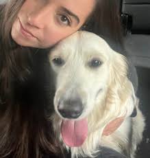 Golden Retriever behavior and training suggestions needed