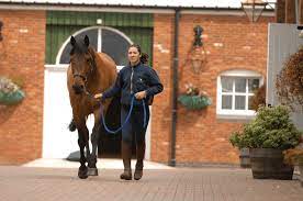 10 Tips To Live By When Buying A Horse | Horse And Rider