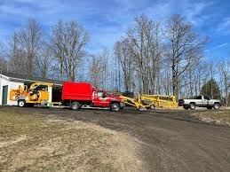 James clark tree service keeps holt, lansing, east lansing & okemos, mi residents safe. Wright Tree Removal Home Facebook