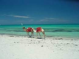Now $135 (was $̶1̶5̶4̶) on tripadvisor: Pin On Ohh The Places I Will Go