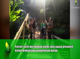 Dikenal dengan adventure tourism, seperti masuk hutan belantara yang belum pernah dijelajahi. Desiminasi Ranperda Pengelolaan Hutan Ntb