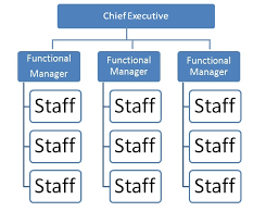 Functional Organization Projectized Organization Matrix