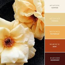 Hal tersebut dapat kita macam2 warna dasaran sparkling gold yg banyak di minati banyak orang, samurai paint. 20 Palet Warna Unik Dan Mengesankan Untuk Inspirasi Anda Canva