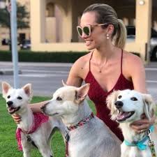Reputation, credibility, availability, professionalism, and experience. Dupaws In Home Dog Boarding Dog Walking Pet Sitting And Dog Daycare In Dubai