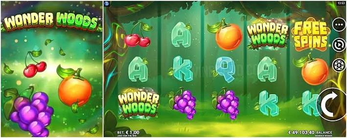 Wonder Woods Slot - Slot Machine Games Canada