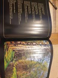 Wir als seitenbetreiber haben es uns zur obersten aufgabe gemacht, ware verschiedenster art ausführlichst zu checken, dass endverbraucher schnell und unkompliziert den wann wird es morgen dunkel ausfindig machen können, den sie als kunde kaufen wollen. Nach Dem Dunkel Kommt Ein Neuer Morgen Johannes Hansen Buch Gebraucht Kaufen A02twznv01zzb