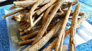 Image result for Helinus