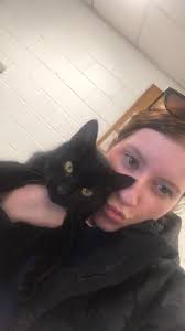 Exhaustion and Speculation