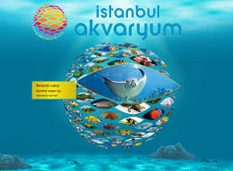 Istambul Aquarium Tour Turkey Tour Booking Reserve Today