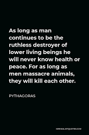 Pythagoras Quote: As long as man continues to be the ruthless destroyer of  lower living beings he will never know health or peace. For as long as men  massacre animals, they will