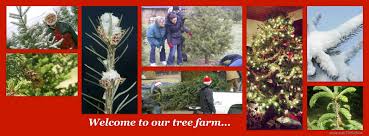 Begin your search for the. Prairie Valley Christmas Trees Home Facebook