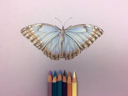 Create a pattern of an eye on each wing of the butterfly. 3d Blue Butterfly Cutout Paper Art Drawing On Behance