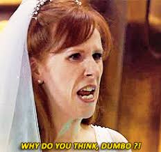 The Runaway Bride-Donna Noble, the Greatest Companion Never Lost