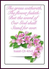 Look At The Birds Of The Air Kjv Isaiah 40 8 Kjv The Grass Withereth The Flower Fadeth But The Word Of Our God Shall Stand For Ever Inspirational Words Of Wisdom Christian Counseling Kjv