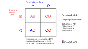 thank your dad for your blood type the science of abo