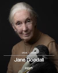 In 2018, 60 Minutes spent time with Jane Goodall and photographer Tom  Mangelsen, old friends and animal lovers, as they shared a drink and  watched the crane migration. Goodall, who shaped the