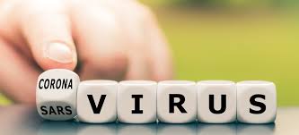Coronavírus hoje: Brasil tem 978 casos e agora 12 mortes, segundo ...