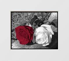 Black And White Pictures With Red Black White Red Wall Decor Black White Red Rose Flowers Interior Home Decor Wall Art Matted Red Wall Decor White Wall Decor Red Black Bedrooms