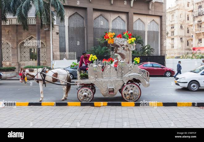 Horse cart mumbai india hi-res stock photography and images - Alamy