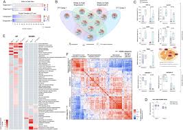 Certain causes of white hair like faulty genes or autoimmune conditions may not have a cure. Quantitative Mapping Of Human Hair Greying And Reversal In Relation To Life Stress Elife