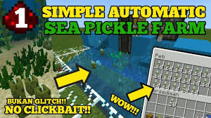 How to make a cactus farm in minecraft minecraft cactus farm no redstone and easy. Simple Automatic Sea Pickle Farm Tutorial Minecraft Tutorial Redstone 1 Https Cstu Io 461b79 Minecraft Youtube