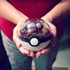 The pokémon that can appear from poké balls differ between the games. Pokeball Terrariums Are A Thing Now But The Demand Is So Big It S Hard To Catch Them Bored Panda