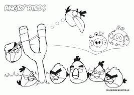 It has an extensive collection of lovely coloring pictures. Angry Birds Coloring Pages To Print Coloring Home