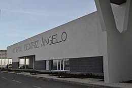 Carolina beatriz angelo era un medic care practica în lisabona. Carolina Beatriz Angelo Wikipedia A Enciclopedia Livre