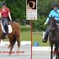2026 Totally Awesome Horse (TAH) Show Series!