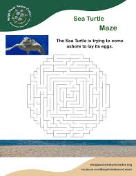 We have included darling illustrations of a whale, a dolphin, an octopus, and a sea turtle. Sea Turtle Maze Meigs Point Nature Center