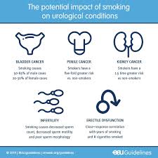 This is a subtle clue that something may be wrong, but not a hard and fast rule. European Association Of Urology It Is World No Tobacco Day Today A Good Reason To Talk Again About The Impact Of Smoking On Urological Conditions Tobacco Smoking Negatively Affects Erectile