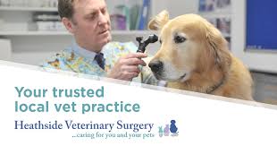 Pets and vets have over 10 clinics across the state of western australia. Trusted Locks Heath Vet Practice Heathside Vets 01489 607001