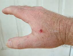 Image result for browning Hi power combat hammer bite