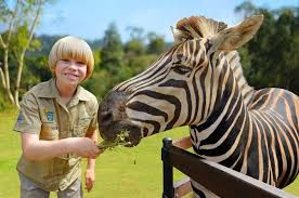 Australia Zoo By Croc Express Coach Australia Honeymoon Australia Funny Winter In Australia