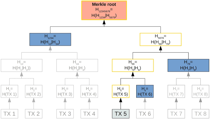 Merkle Proofs - Blockchain Academy