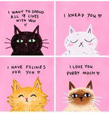 Cat Pick Up Lines Cat Pick Up Lines Cat Memes Feline