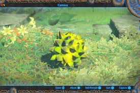 Food and cooking recipes are a big part of the legend of zelda: 22 Ideas For Breath Of The Wild Fruitcake Best Recipes Ideas And Collections
